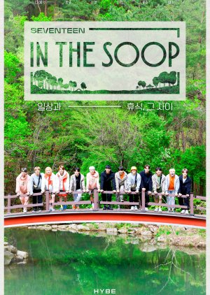 Seventeen in the Soop